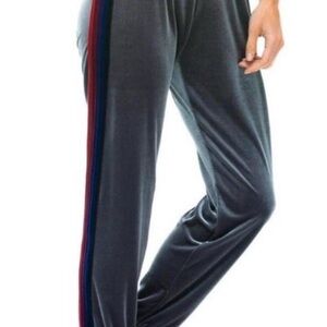 Aviator Nation - grey velvet 5 stripe pants size S